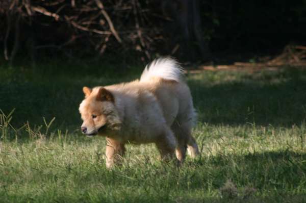 PIQUETE EN EL AREA FOTOS