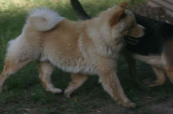 PIQUETE EN EL AREA FOTOS