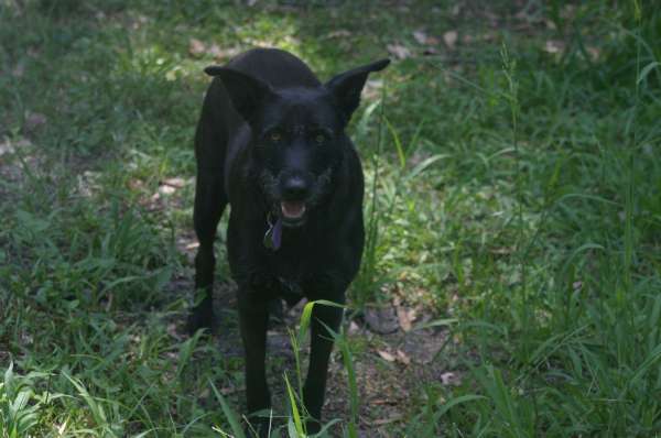 PIQUETE EN EL AREA FOTOS