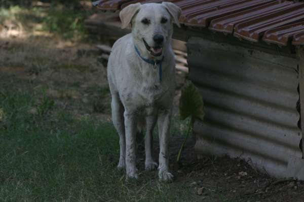 PIQUETE EN EL AREA FOTOS