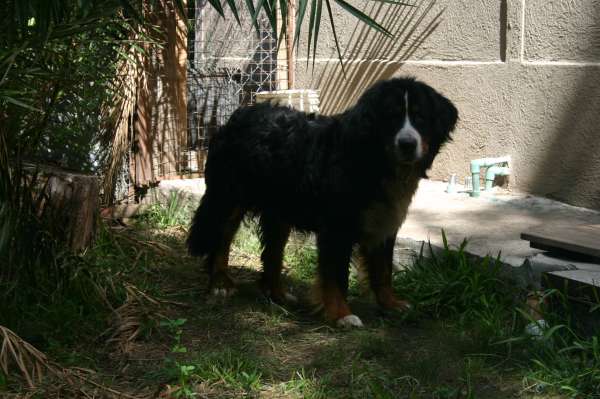 PIQUETE EN EL AREA FOTOS