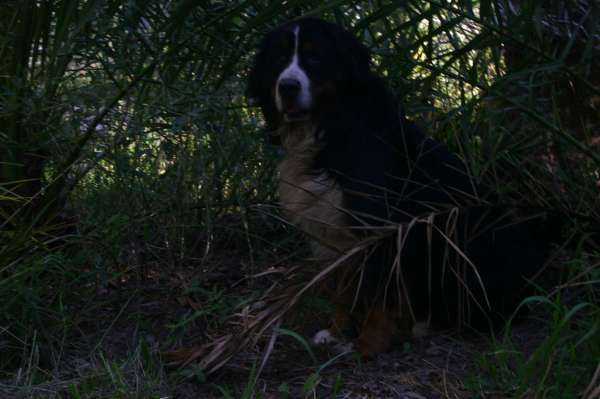 PIQUETE EN EL AREA FOTOS