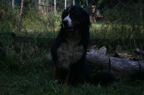 PIQUETE EN EL AREA FOTOS