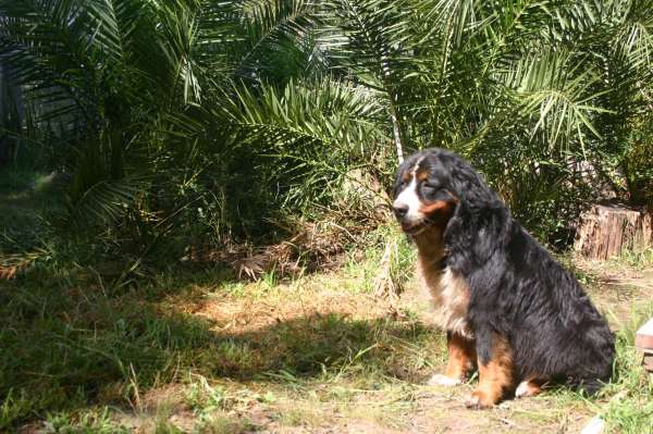 PIQUETE EN EL AREA FOTOS