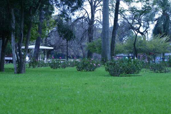 ROSEDAL 27 DE JUNIO 2012