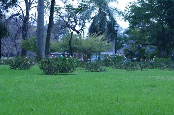 ROSEDAL 27 DE JUNIO 2012
