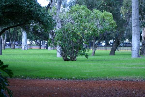 ROSEDAL 27 DE JUNIO 2012