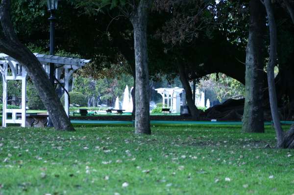 ROSEDAL 27 DE JUNIO 2012