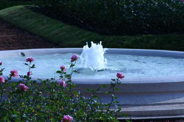 ROSEDAL 27 DE JUNIO 2012