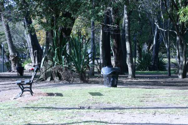 ROSEDAL 27 DE JUNIO 2012