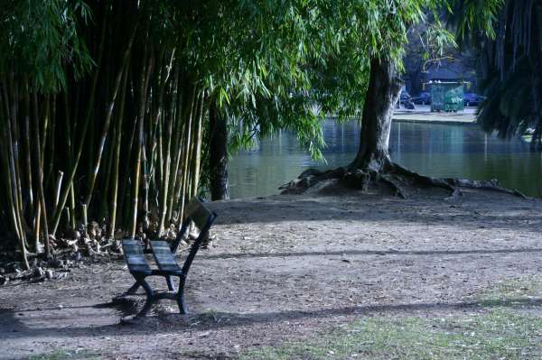 ROSEDAL 27 DE JUNIO 2012