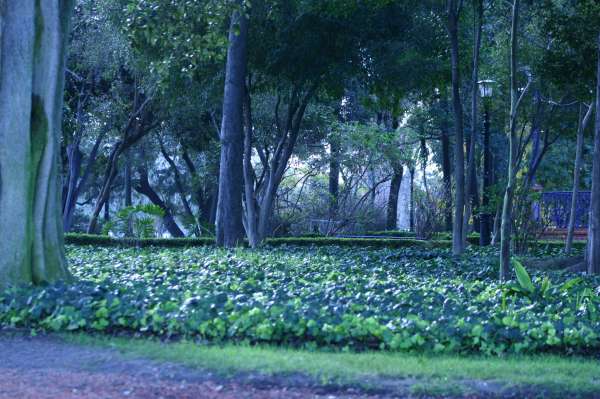 ROSEDAL 27 DE JUNIO 2012