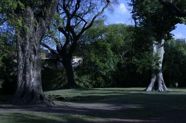 22 DE SEPTIEMBRE DEL 2019 BOSQUE DE PALERMO Y COSTANERA