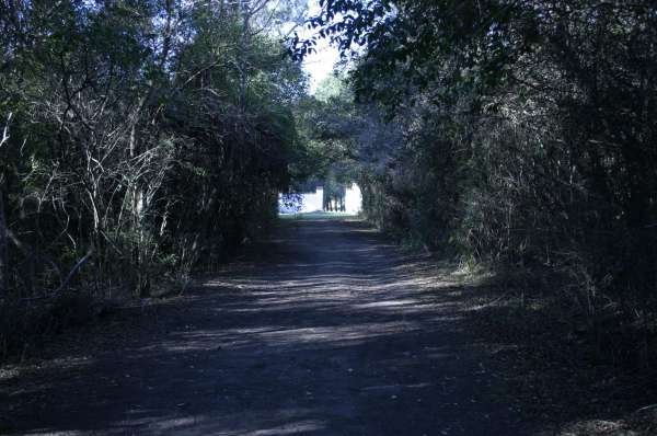 ISLA MARTIN GARCIA 2008