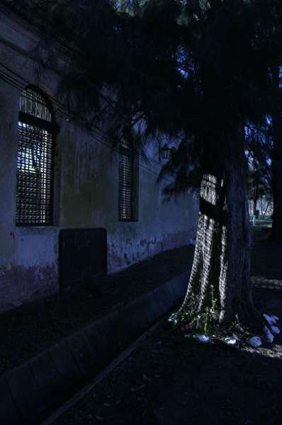 ISLA MARTIN GARCIA 2008