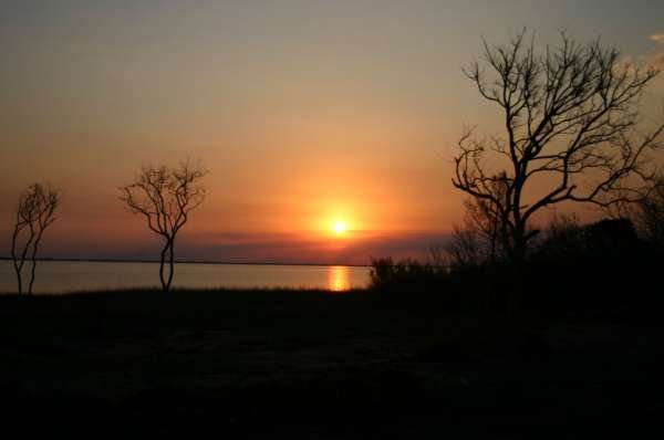 ISLA MARTIN GARCIA 2008
