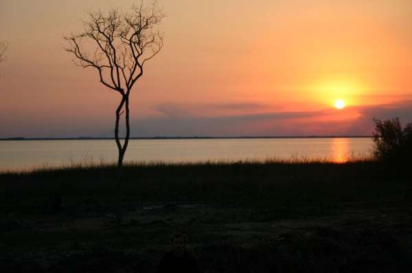 ISLA MARTIN GARCIA 2008