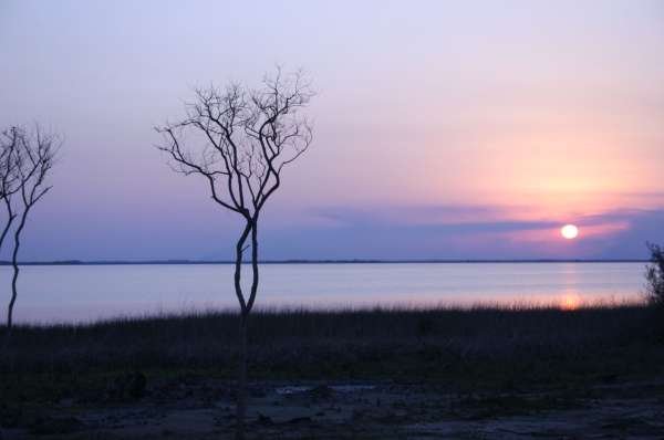 ISLA MARTIN GARCIA 2008
