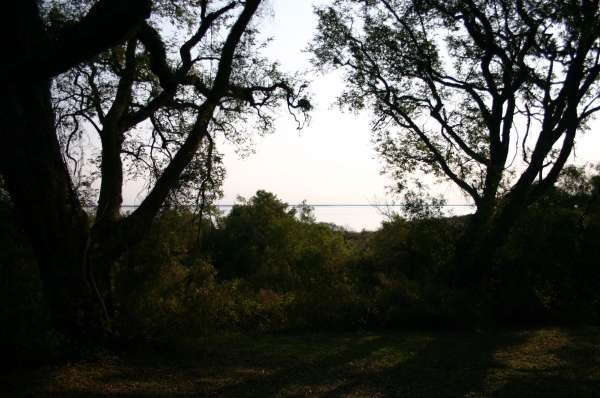 ISLA MARTIN GARCIA 2008