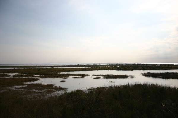 ISLA MARTIN GARCIA 2008