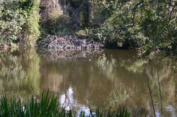 ISLA MARTIN GARCIA 2008