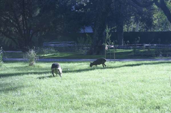 ECOPARQUE BUENOS AIRES  21 DE ABRIL DE 2019