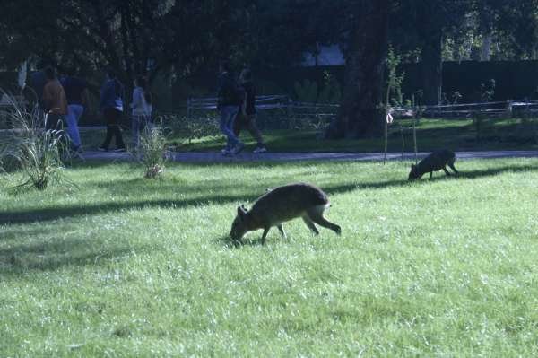 ECOPARQUE BUENOS AIRES  21 DE ABRIL DE 2019